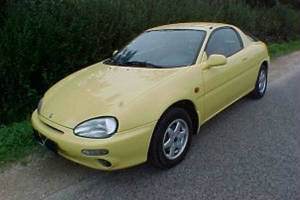 nethpassionyellowmica92to98.jpg