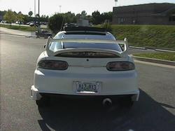 pic12.jpg